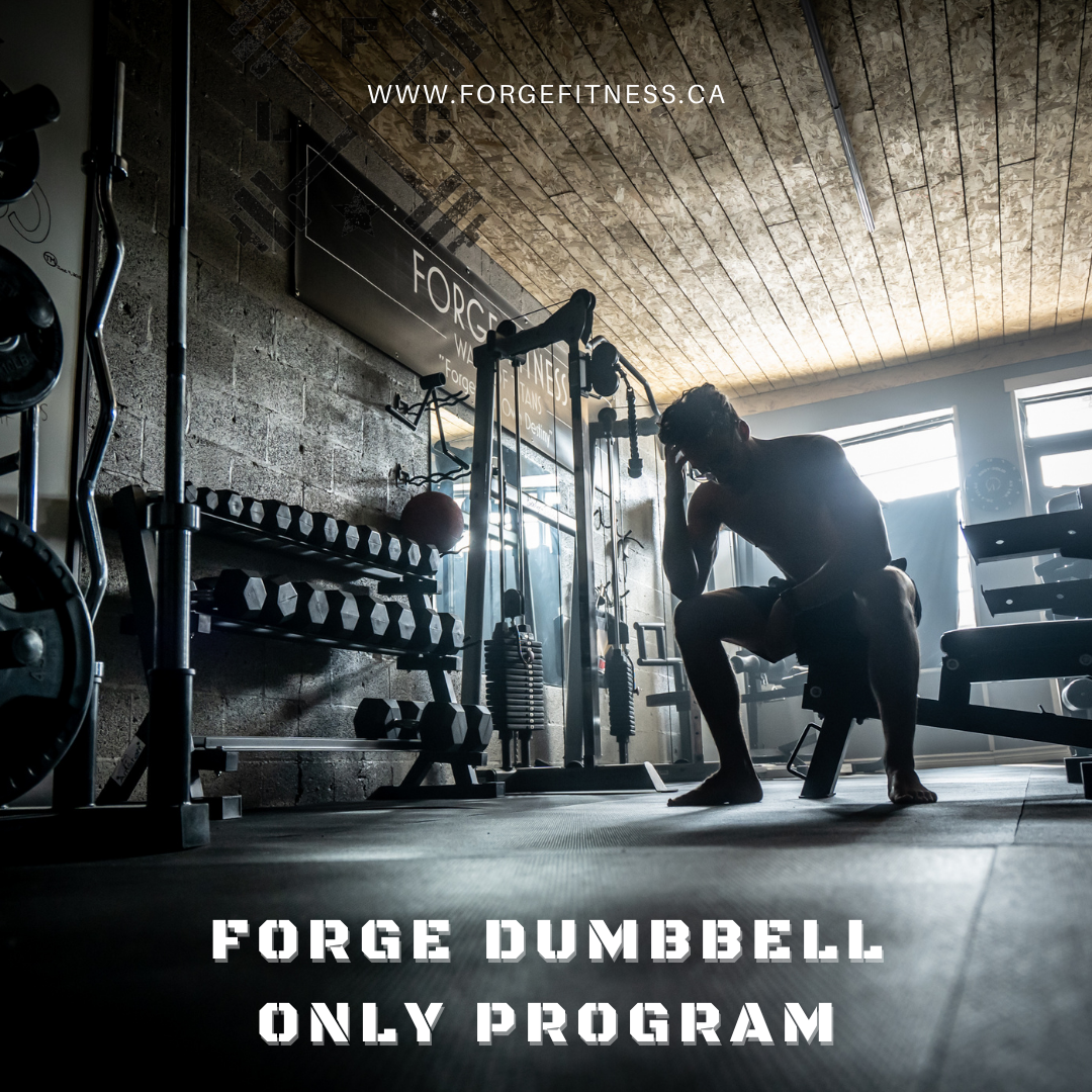 Forge fitness online